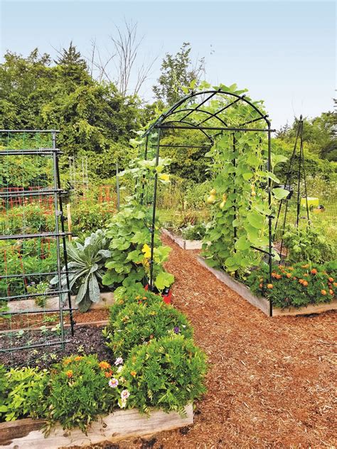 Planning And Designing A Productive Vegetable Garden Cedar City News
