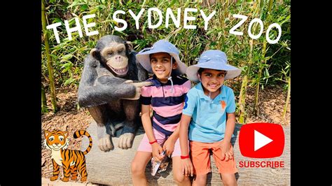 The New Sydney Zoo Youtube