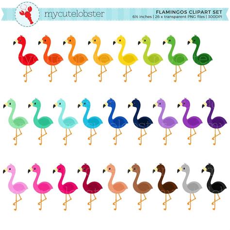 Rainbow Flamingos Clipart Set Clip Art Set Of Cute Flaming Inspire
