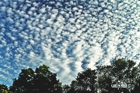 Altocumulus Mackeral Cloud Formation Photograph By Carol F Austin