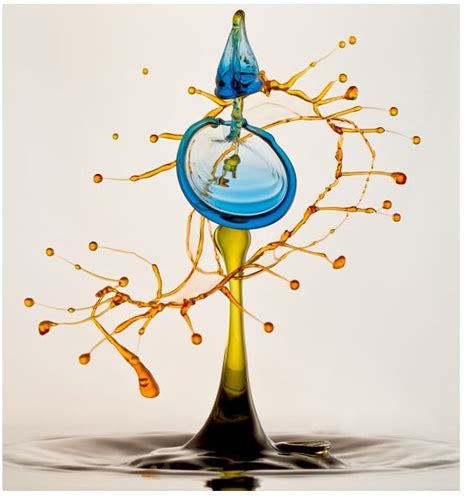 By Heinz Maier Amazing Macro Photography Water Drop Photography High