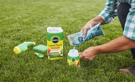 How To Fertilize Zoysia Grass The Right Way