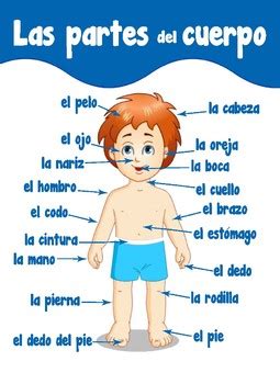 Body parts in Spanish by Erica Bode | Teachers Pay Teachers
