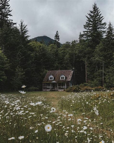 Honey Bee Cottage 🐝🍯💕 On Instagram Cottagecore Cottagecoreaesthetic