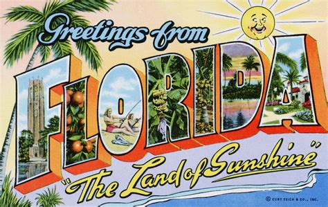 Greetings From Florida The Land Of Sunshine Postcard Posters