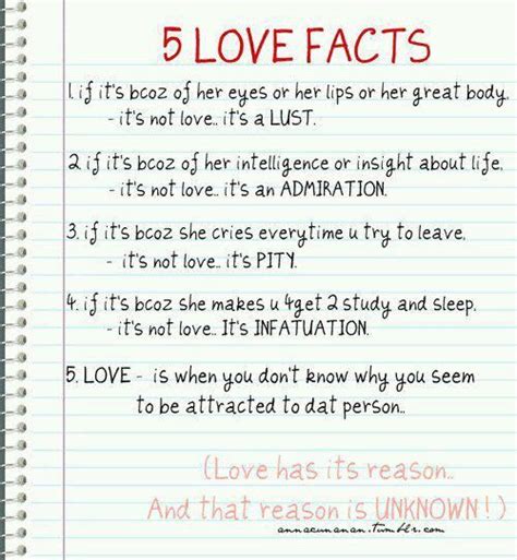Funny Things Roixcroix Love Facts Psychology Facts About Love Crush Facts
