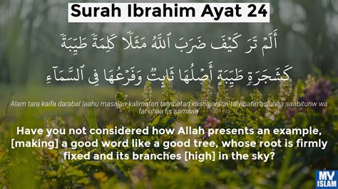 Surah Ibrahim Ayat 24 1424 Quran With Tafsir My Islam