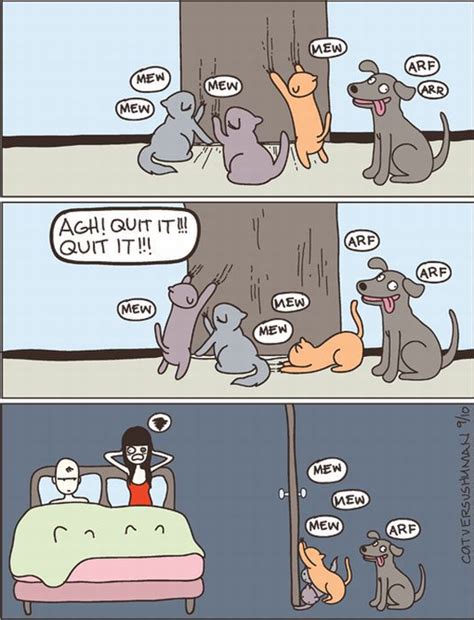 Hilarious Comics With Cats 35 Pics
