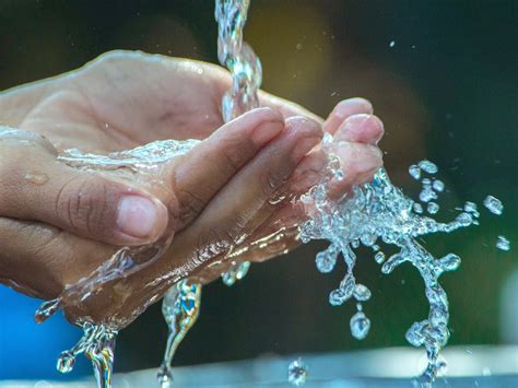 Cinco Formas En Las Que Se Desperdicia Agua En El Hogar Greentology