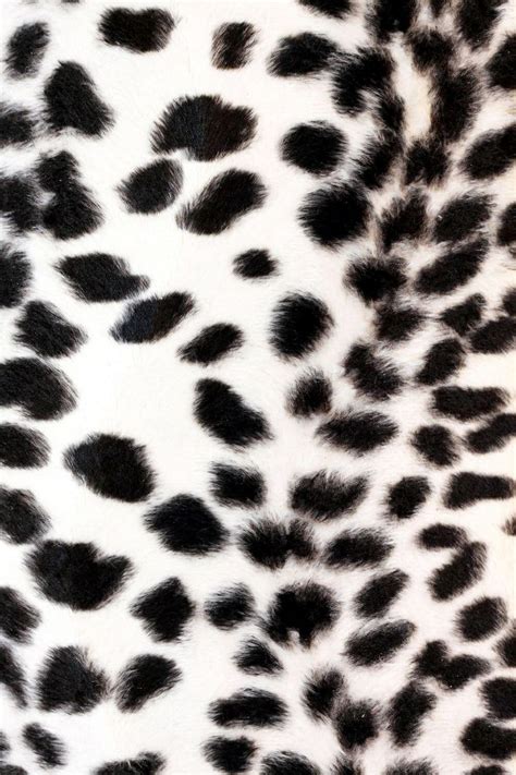 Snow leopard | Leopard print wallpaper, Animal print wallpaper