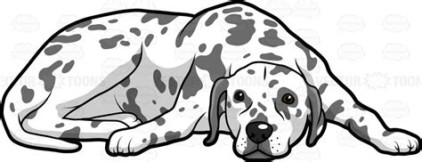 Lying Dog Clipart 20 Free Cliparts Download Images On Clipground 2021