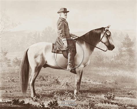 Vintage Portrait Of General Lee On His Horse Traveler Stocktrek Images