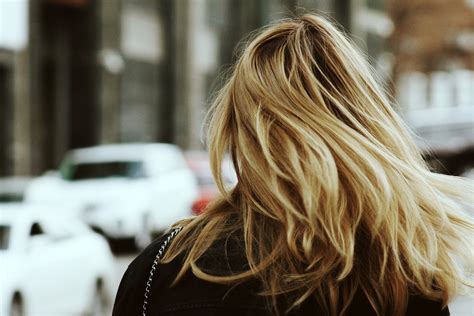 Free Stock Photo Of Back Of Womens Head With Blonde Hair Public