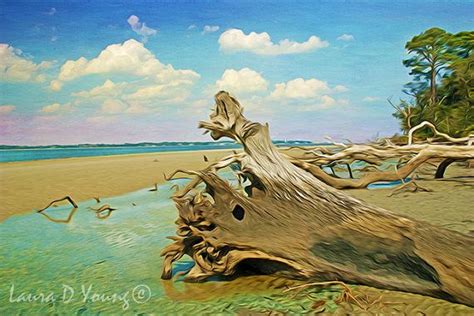 Driftwood On Beach Jekyll Island Beach Ocean And Beach Blue Etsy