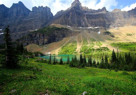 Usa Parks Mountains Lake Scenery Grass Fir Glacier National