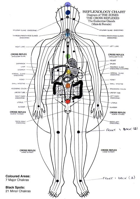Reflexology Body Reflexology Reflexology Chart Reflexology Massage