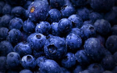 Wallpaper Food Water Drops Macro Fruit Wet Blueberries Berry