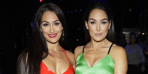 Nikki Bella And Her Twin Sister Brie Bella Are Both Pregnant