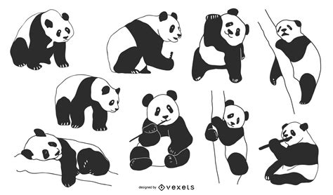 Panda Vectors Vector Download