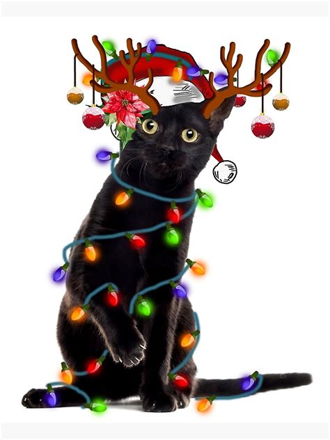 Black Cat With Christmas Lights Uk