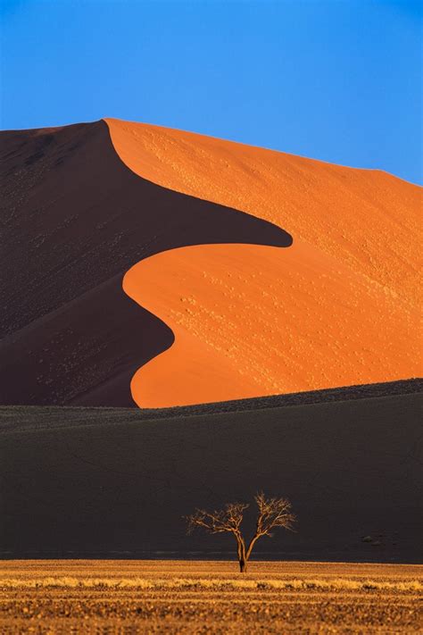 The Namib Desert In Southern Africa Rpics