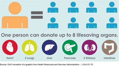 Organ Transplants Changes In Allocation Policies For Donated Livers
