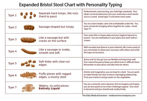 Best Bristol Stool Scale Explained Of All Time Learn More Here Stoolz