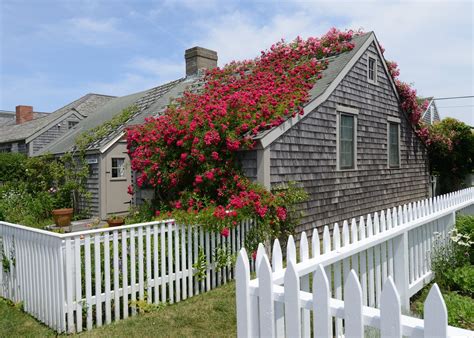 Nantucket And Its Rose Covered Cottages Nantucket Cottage House Styles