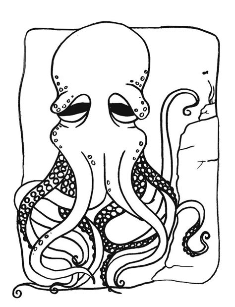 Free Printable Octopus Coloring Pages For Kids Octopus Coloring Page