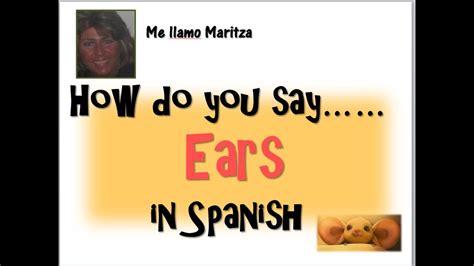 How Do You Say Ears In Spanish Las Orejas Youtube