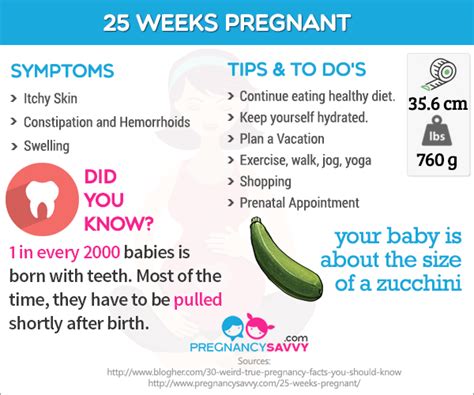 20 Weeks Pregnant 25 Weeks Pregnant Pregnant