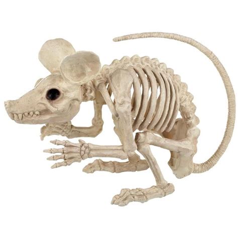 Rat Attack Giant Skeleton Rat Halloween Decoration 20 Inches