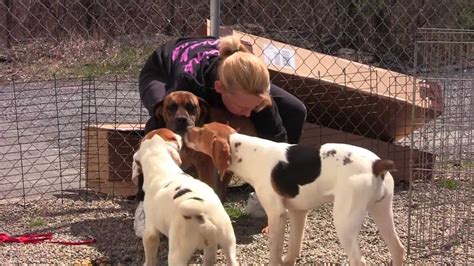 Free To Be Me Puppy Mill Rescue Dogs Now Thriving Youtube