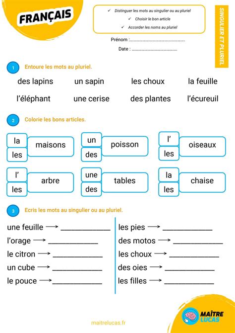 Pluriel Ce1 Exercices A Imprimer