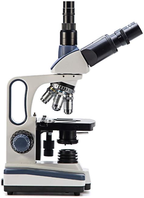 Compound Vs Dissecting Microscope What S The Difference Optics Mag