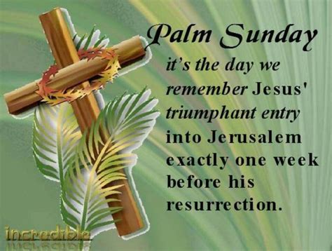 Pin By Judy Vassar On Facebook Holiday Palm Sunday Palm Sunday