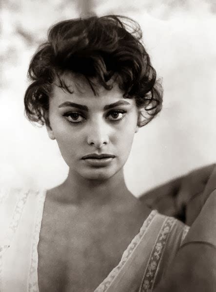 Sophia Body Vs Sophia Loren Sex Godess Life Story And The