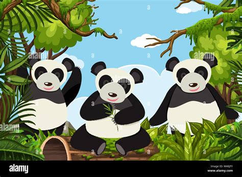 Pandas In Jungle Scene Illustration Stock Vector Image And Art Alamy