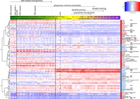 Mn1 Bend2 And Mapk Abc Tumor Associated Genes Demonstrate Fetal