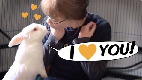 7 Ways To Know Your Rabbit Loves You Youtube