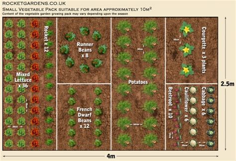 Small Vegetable Garden Layout Outdoor Decor Ideas