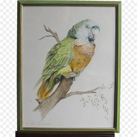 Koleksi terbaru sketsa gambar burung gambar mewarnai source: 30+ Trend Terbaru Gambar Sketsa Kolase Burung - Tea And Lead
