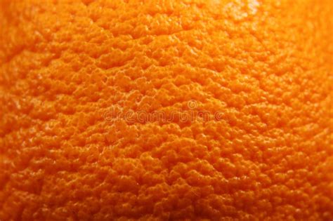 9331 Orange Peel Texture Photos Free And Royalty Free Stock Photos