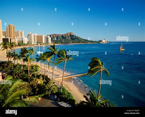 Waikiki Beach Und Diamond Head über Palmen Mit Katamaran Und Beach