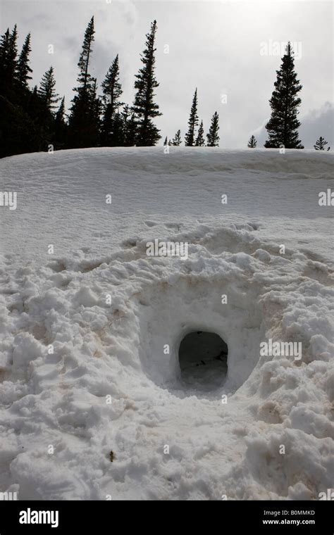 Snow Cave Survival High Resolution Stock Photography And Images Alamy