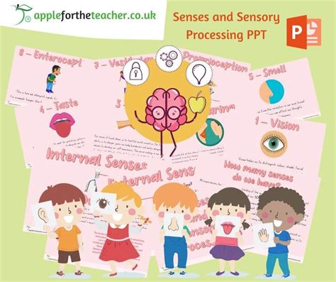 Senses And Sensory Processing Powerpoint Presentation Apple For The Teacher Ltd