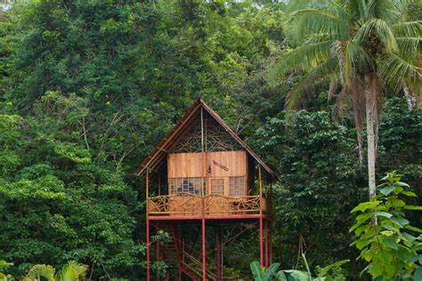 Rainforest Tree House W Hot Springs Treehouses For Rent In Cooper