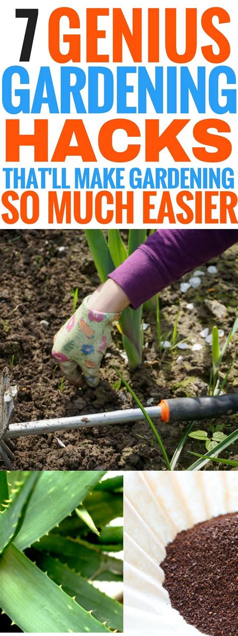 these useful gardening hacks are the best i m so glad i found these amazing gardening tips and