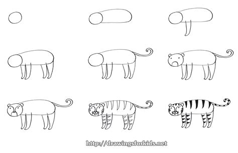 Sketch a large circle with its middle axes on your paper. How to draw a Tiger for kids - drawingsforkids.net