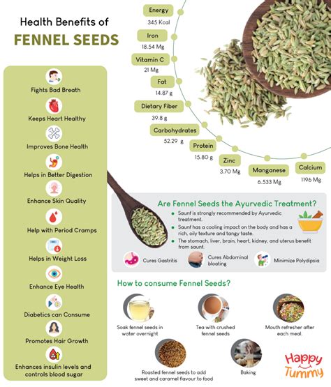 Top 10 Health Benefits Of Eating Fennel Seeds Saunf Happytummy